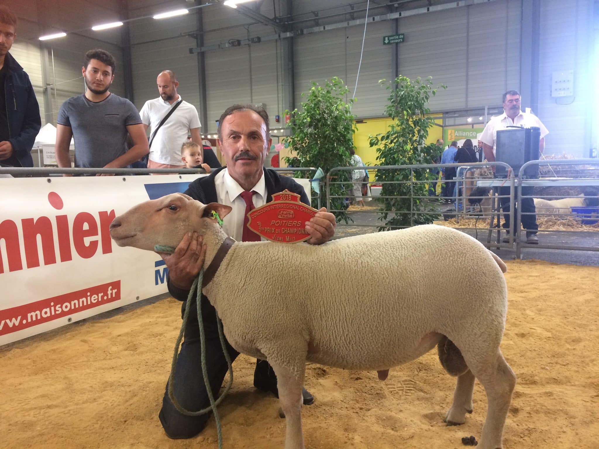 Les Resultats En Direct Du Concours Os Mouton Charollais