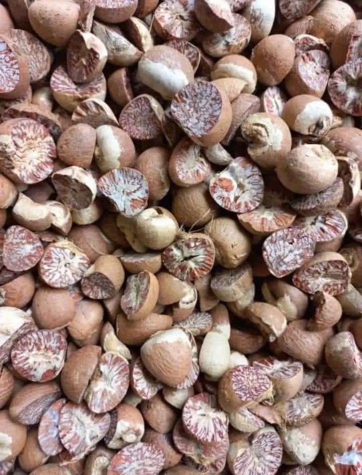 PINANG PETANI ,PENGEPUL ,EXPORT JAMBI | Facebook