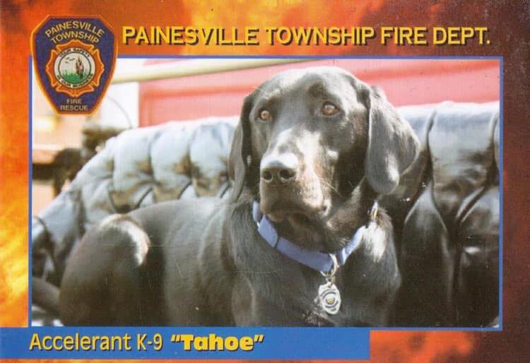 Painesville - A statement from Lieutenant Gordon Thompson: “It is with ...