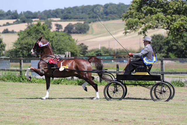 National Hackney Harness Show... - The Hackney Horse Society | Facebook