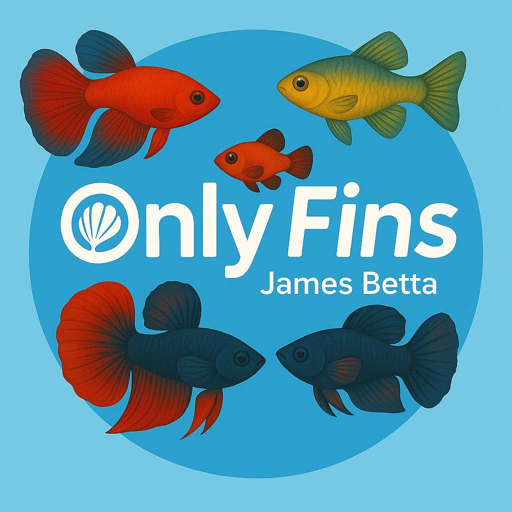 GUPPY FISH | RDSS ️ | By James Betta | Facebook