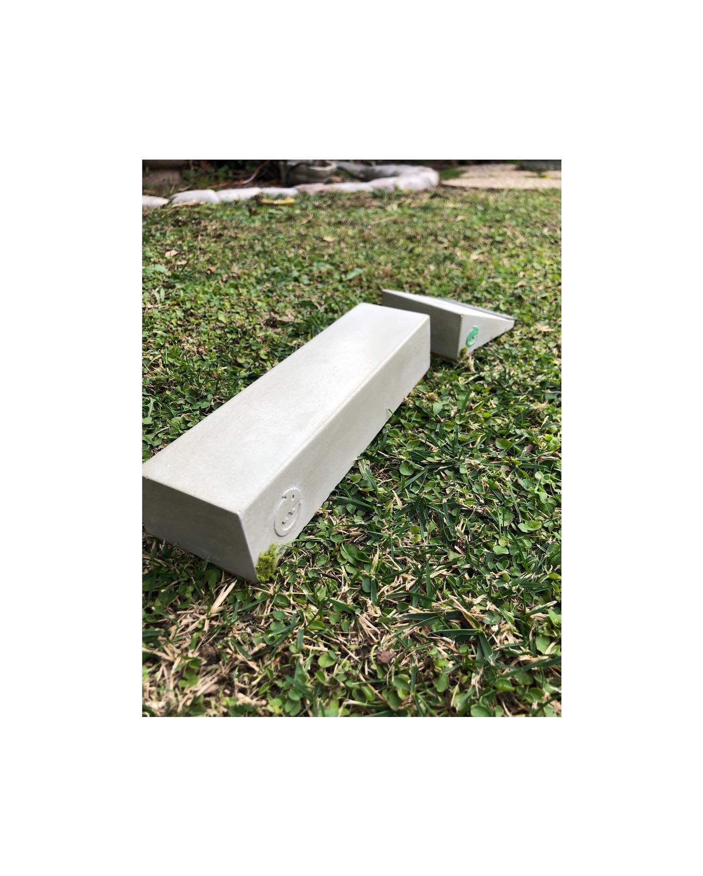 Chameleon Ramps - Noticed I didn’t have a picture of the...