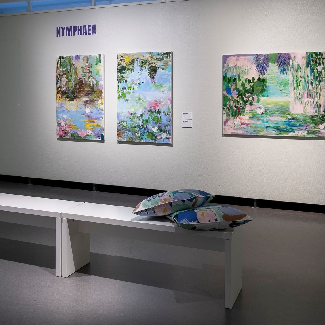 riemu-museot-tulevina-tiistaina-riihim-en-taidemuseolla-tutustutaan