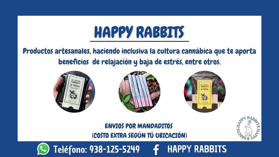 Happy Rabbits | Facebook