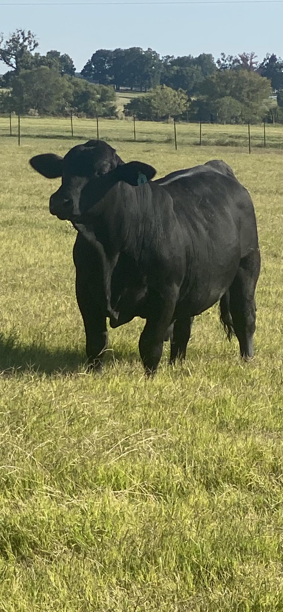 WayMaker Ranch | Canton TX