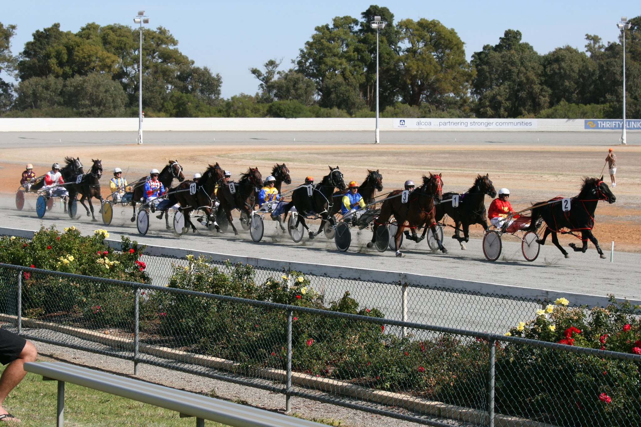Harness Racing Western Australia