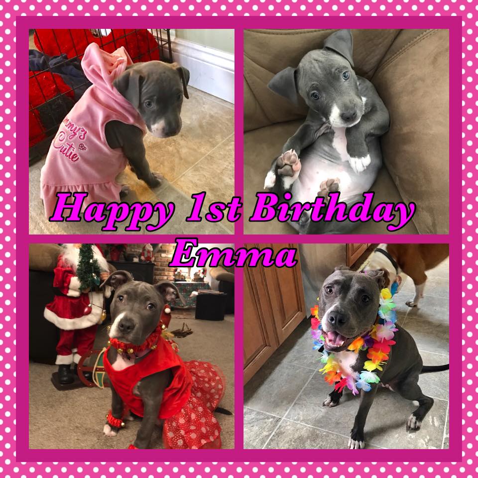 Happy Birthday to my beautiful,... - Kitty,Pitty's &Quotes