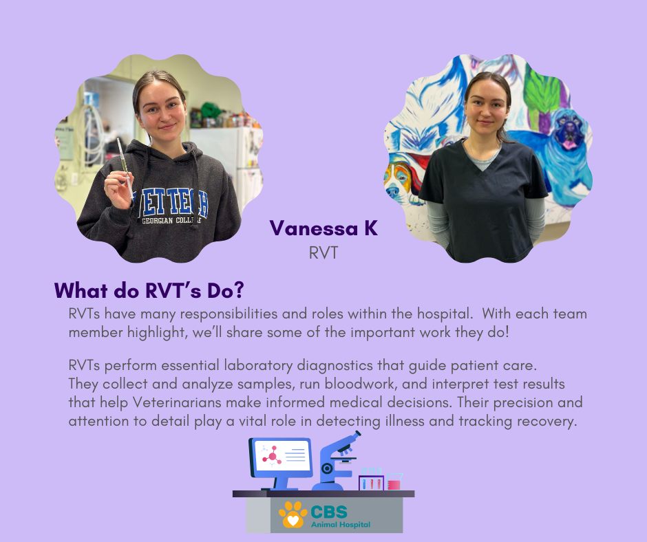 RVT Spotlight – Vanessa K ... - CBS Animal Hospital | Facebook