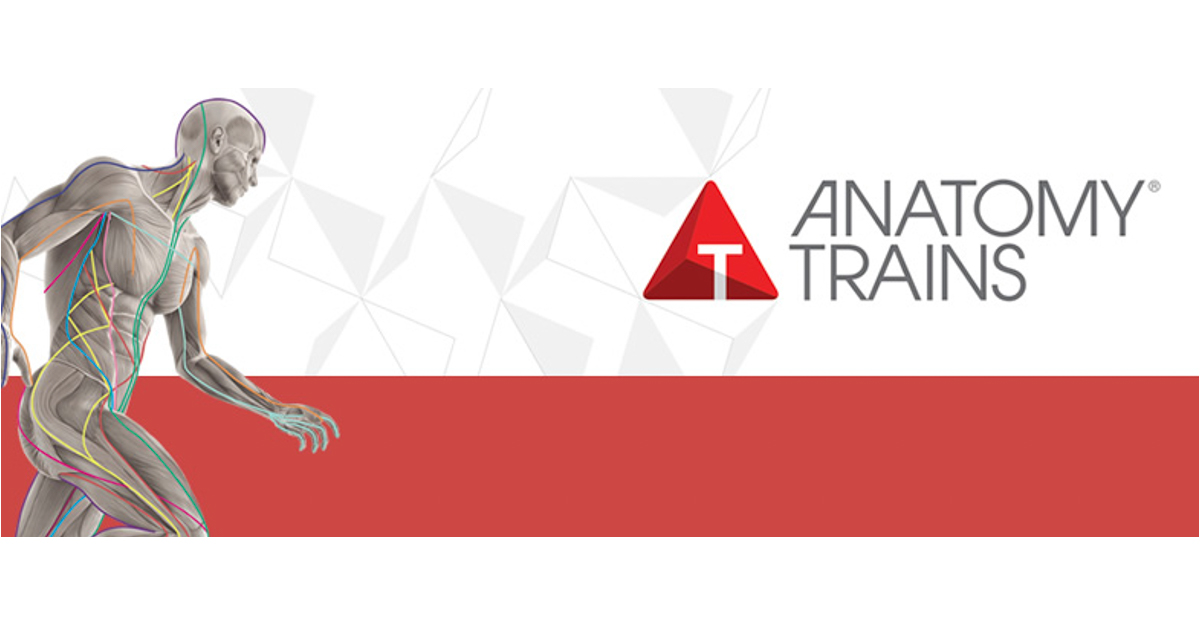 Anatomy Trains in Structure & Function