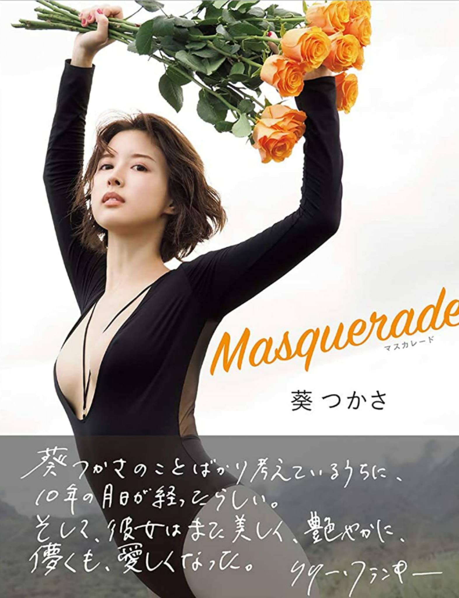 活動歴および当時の関連ビジュアル記録