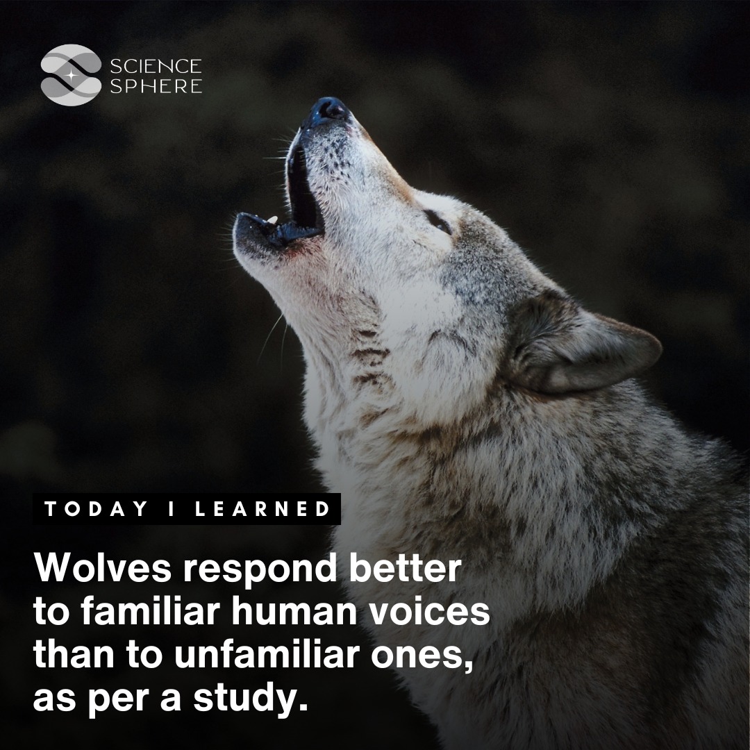 Science Sphere - A recent study conducted with wolves has... | Facebook