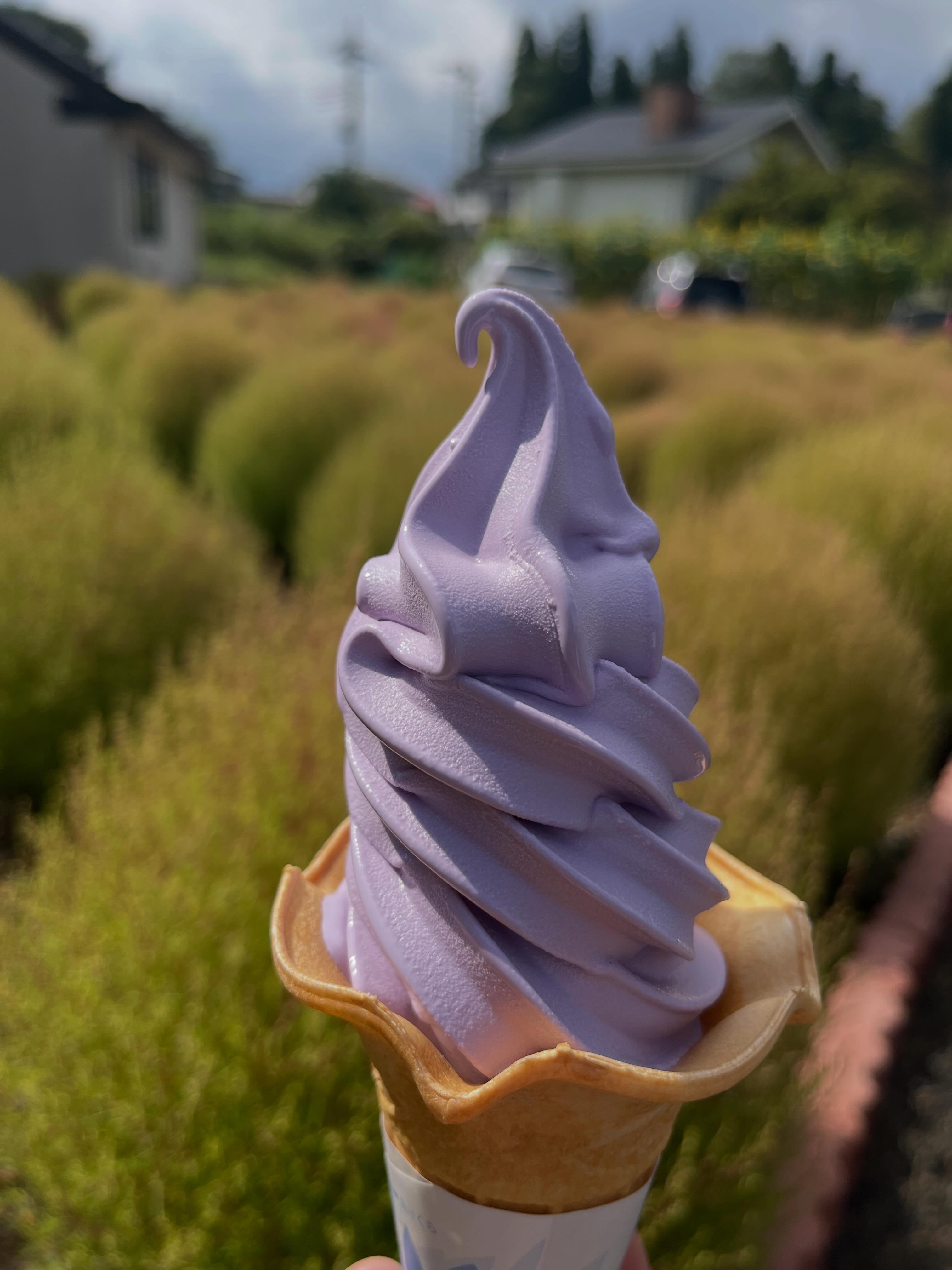 河口湖ミューズ館 ー与勇輝館ー | Minamitsuru-gun Yamanashi