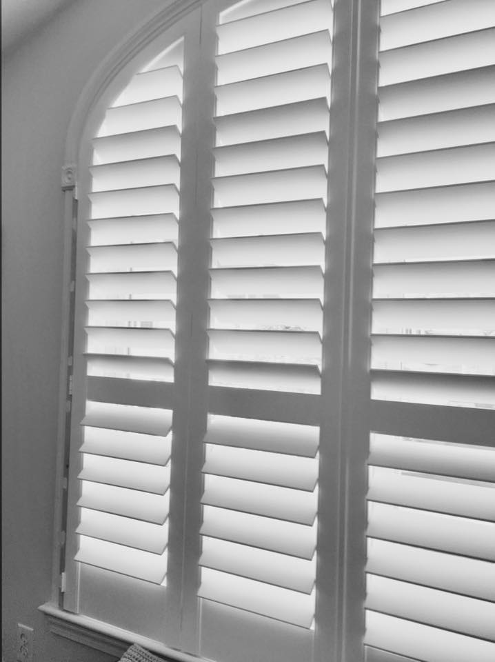 Exciting Windows by SSP Designs