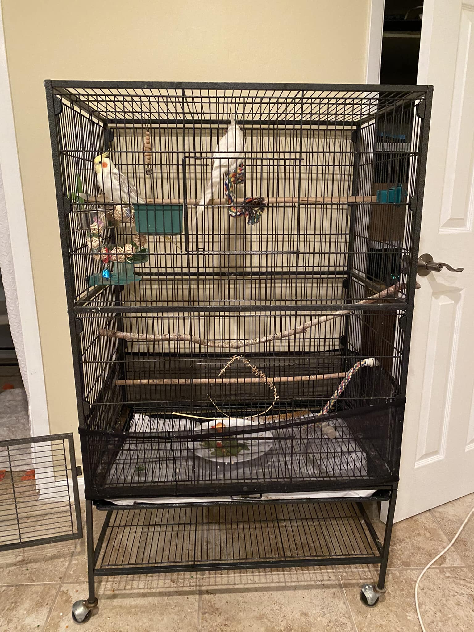 Rachel’s Cockatiel Aviary - Small Cockatiel Aviary Design With Balcony