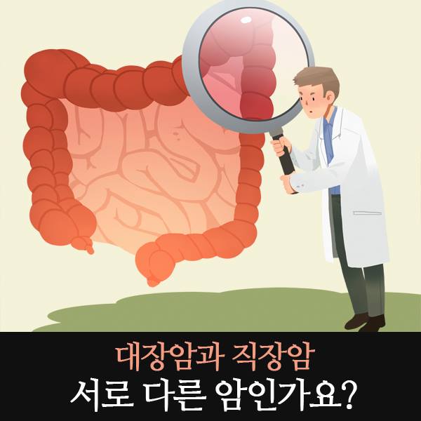 천보당한의원 - [대장암과 직장암 서로 다른 암인가요?] 대장은 크게 결장과 직장으로 구분되는데, 암이... | Facebook