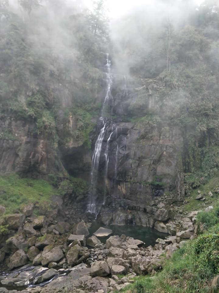 ASE Mountain Hiking Club 日月光登山社 | 芬多精&負離子吸到飽之旅_杉林溪 | Facebook