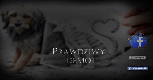 Prawdziwy Demot