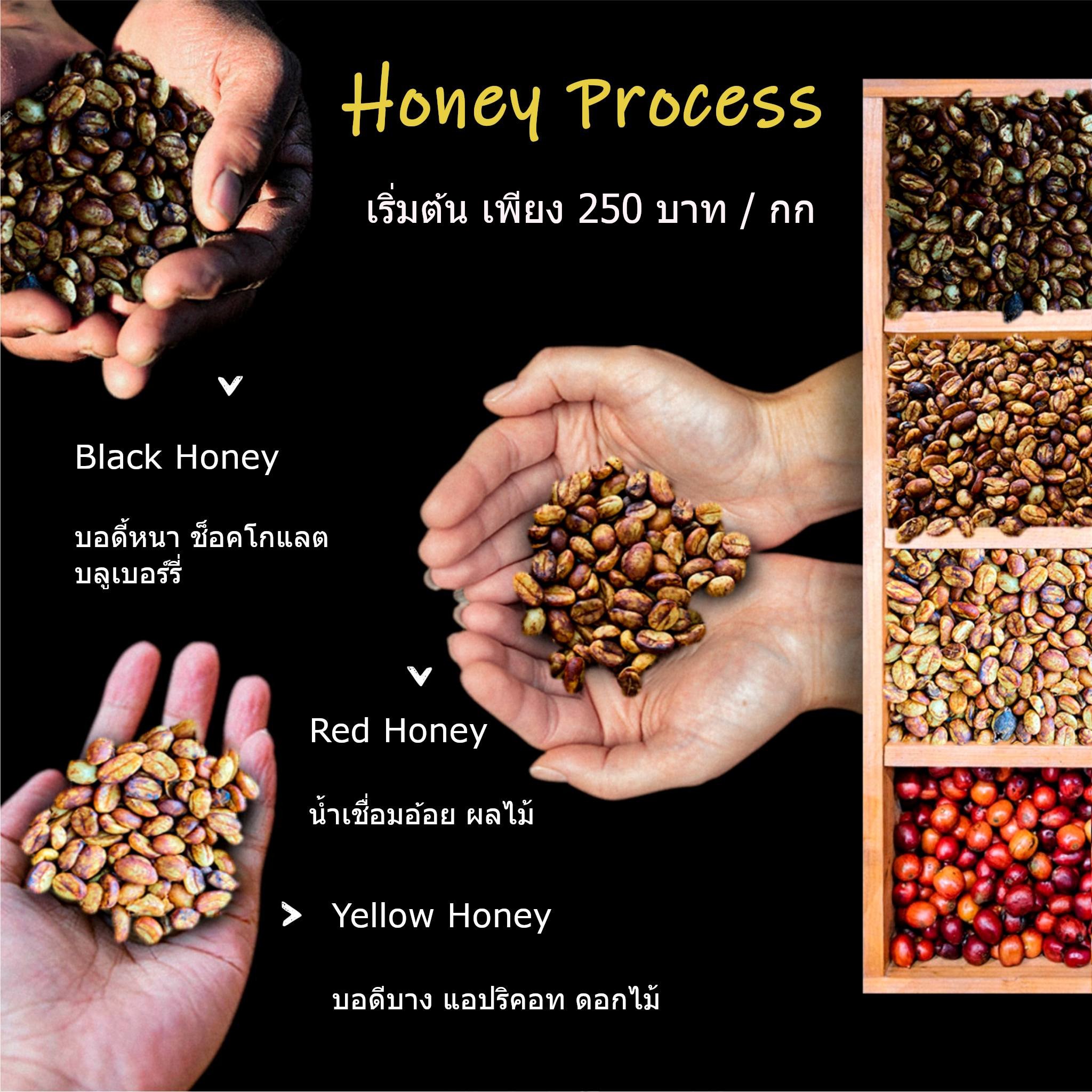 Rai Coffee - เริ่มต้นเพียง 250 บาทต่อกี่โล ดีและถูกมากๆครับ อยากให้ทุก ...