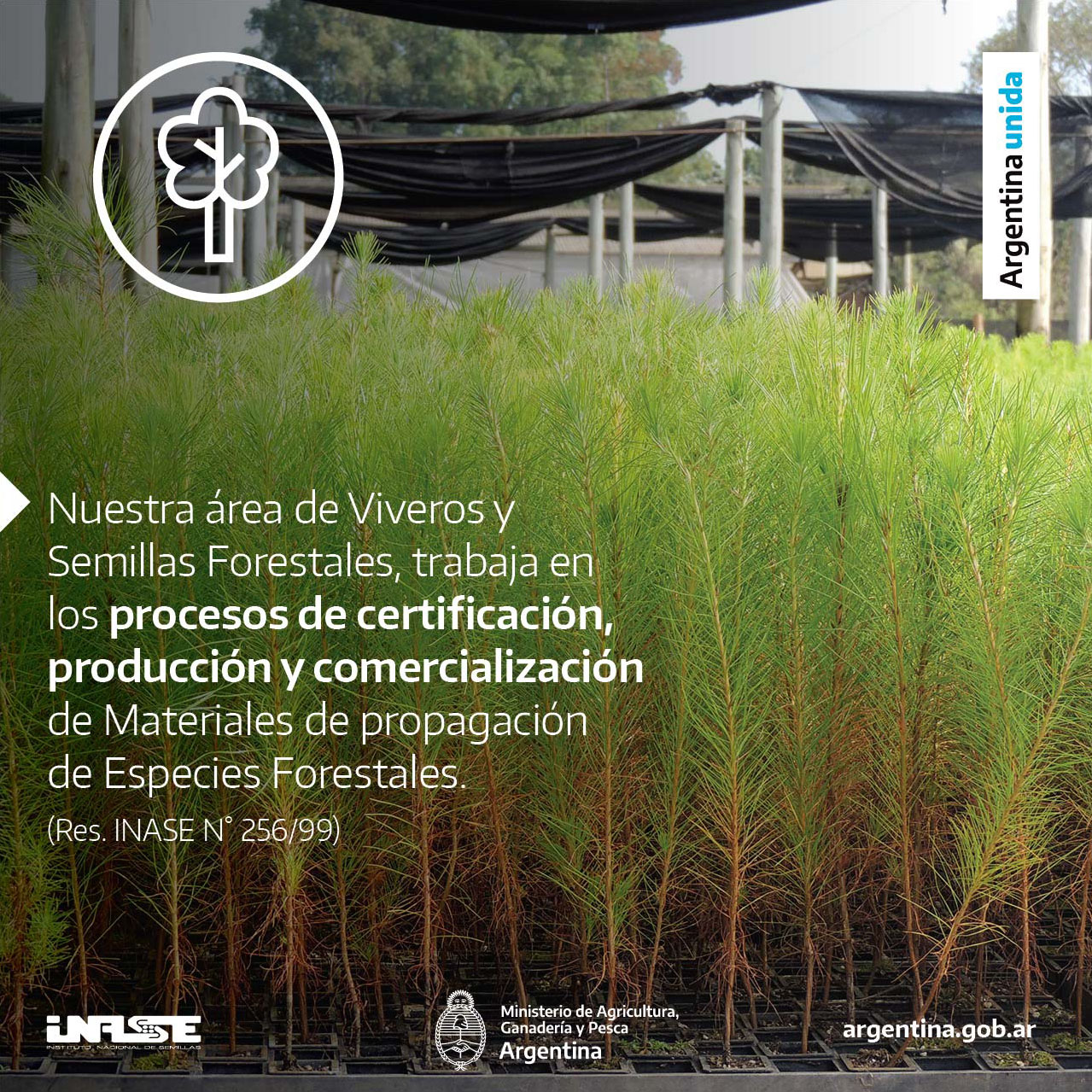 Desde INASE trabajamos en... - Instituto Nacional de Semillas