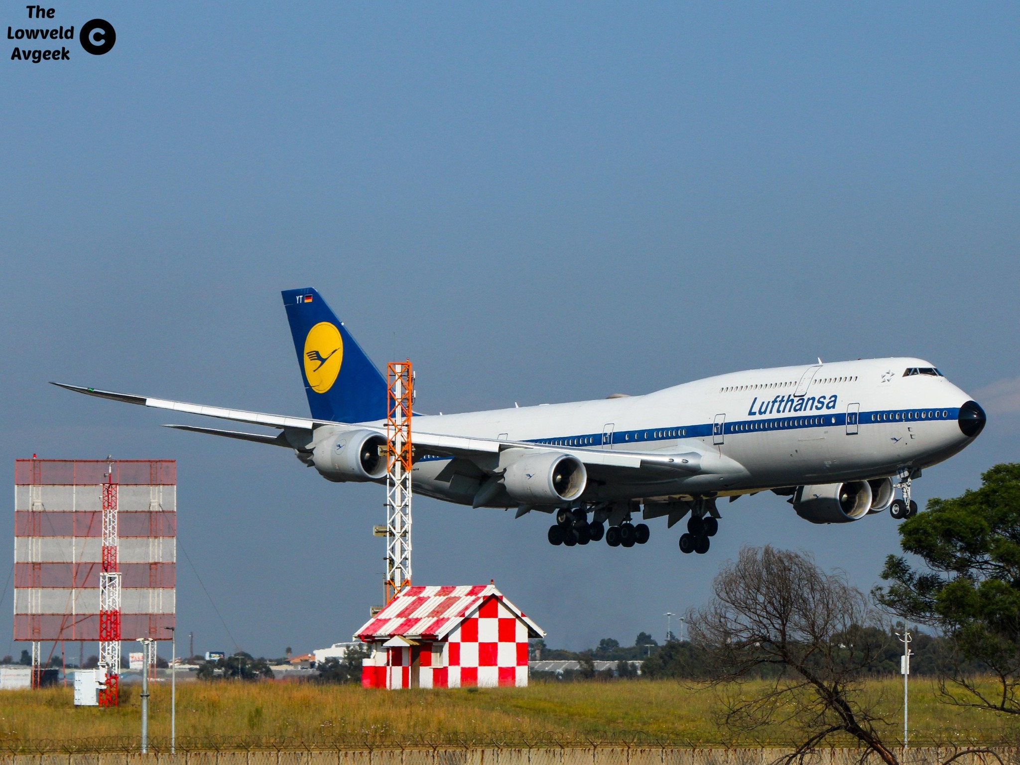HELLO, beautiful! D-ABYT, Boeing 747-8I Lufthansa retro livery