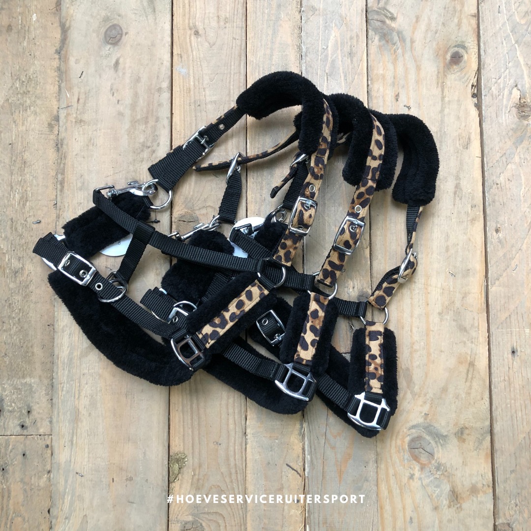 HSB Equestrian - 🖤 Welke (mini)shet-eigenaar wordt hier nu...