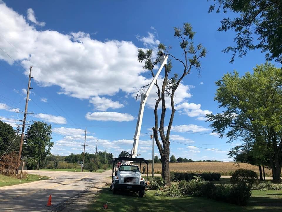 Madden's Tree Service