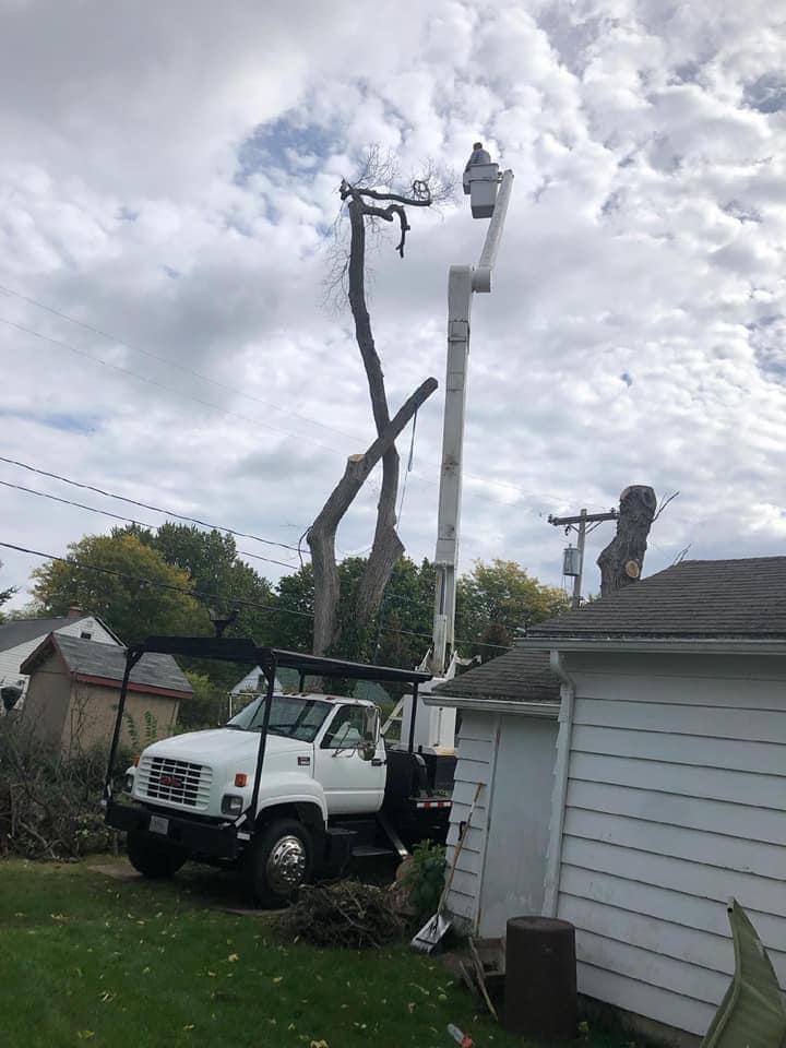 Madden's Tree Service