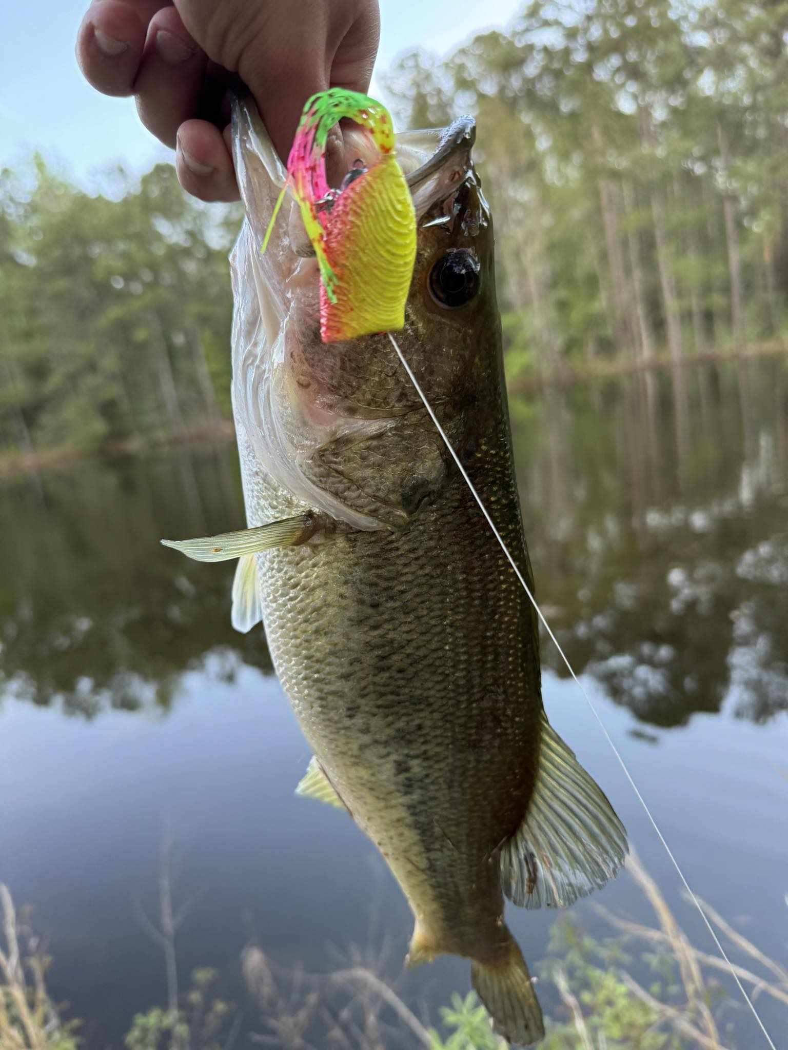 bass jumping lure Jump Frog 65mm Fishing Blood Tiger these lures feature lifelike details and a weedless design to ensure a successful catch Why Top-water Lures Are Great