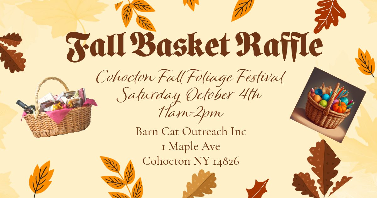 Fall Basket Raffle