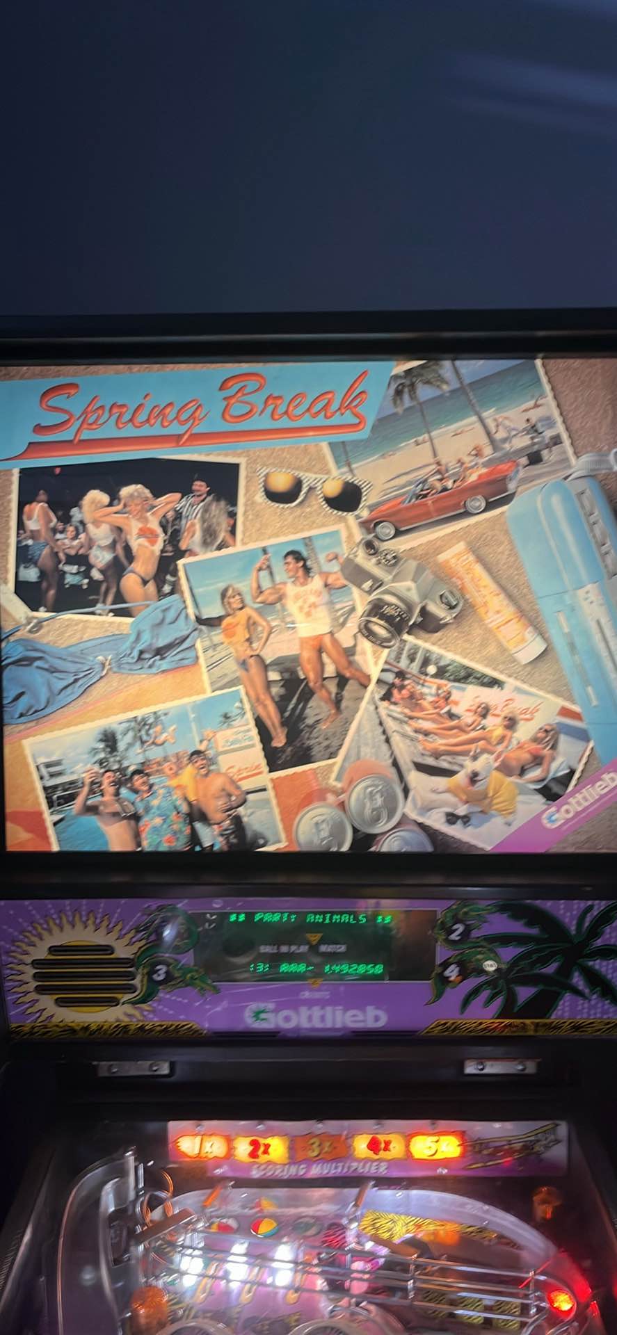 Spring Break Pinball machine - Indoor Games - Burgess, South Carolina ...