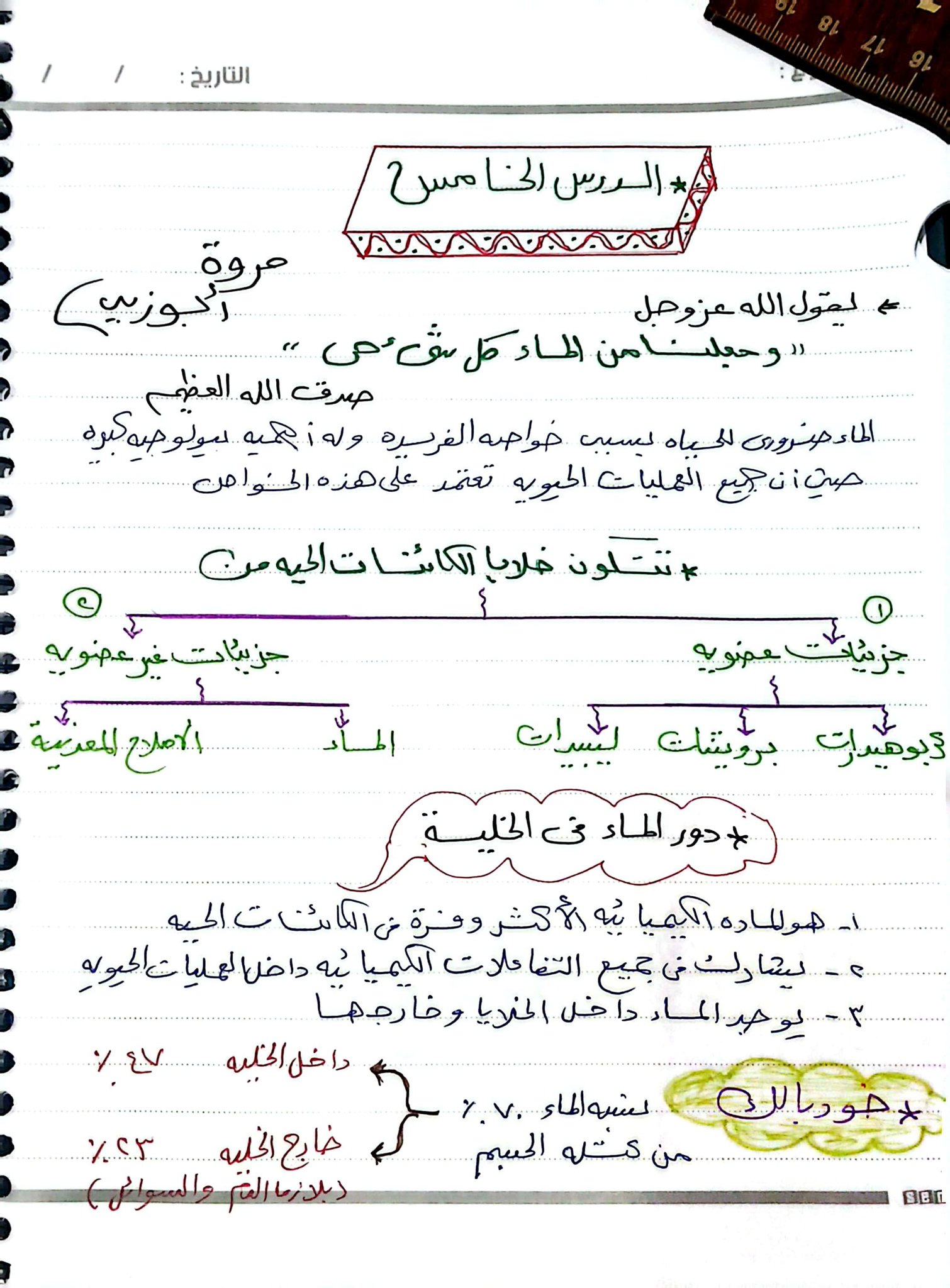 مستر صبرى