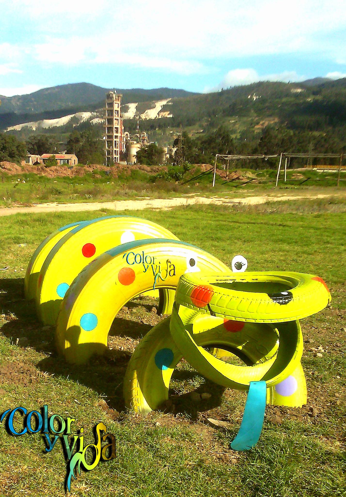 MAW COLOR Y VIDA