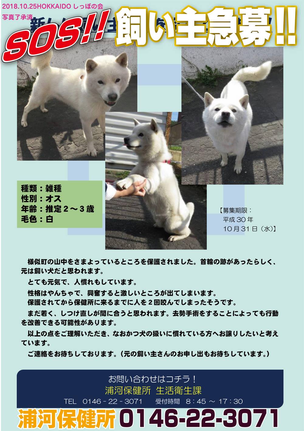 急募本日中に引き取りに来れる方 宅急便を発送した当日中に配達