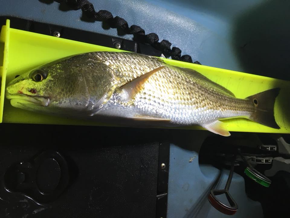 fishouflage spinning combo Trion 7' / Medium / 1 rod_length__8' 0