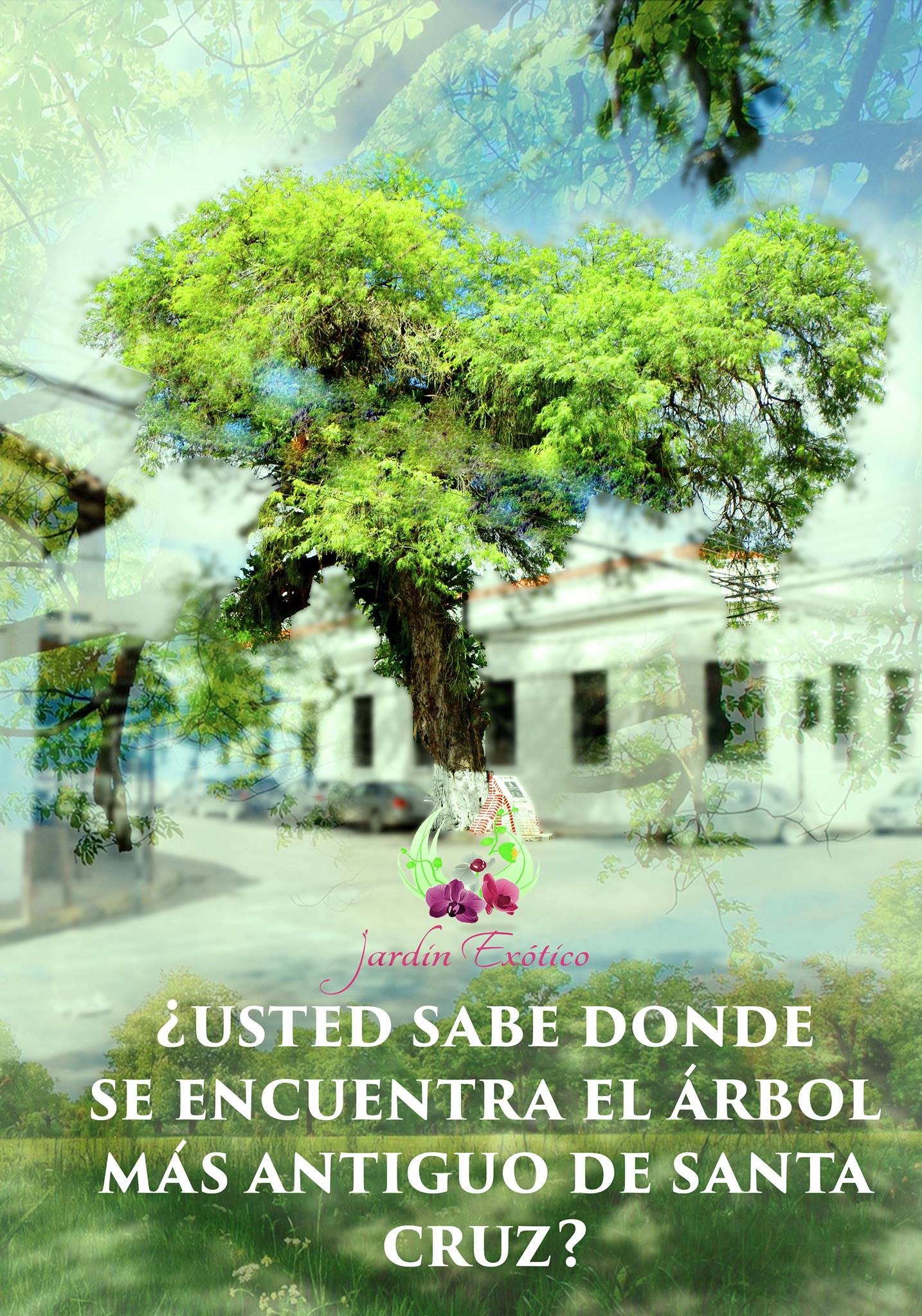 Jardín Exótico - DÍA DEL ÁRBOL Jardín Exótico quiere recordar al Árbol ...