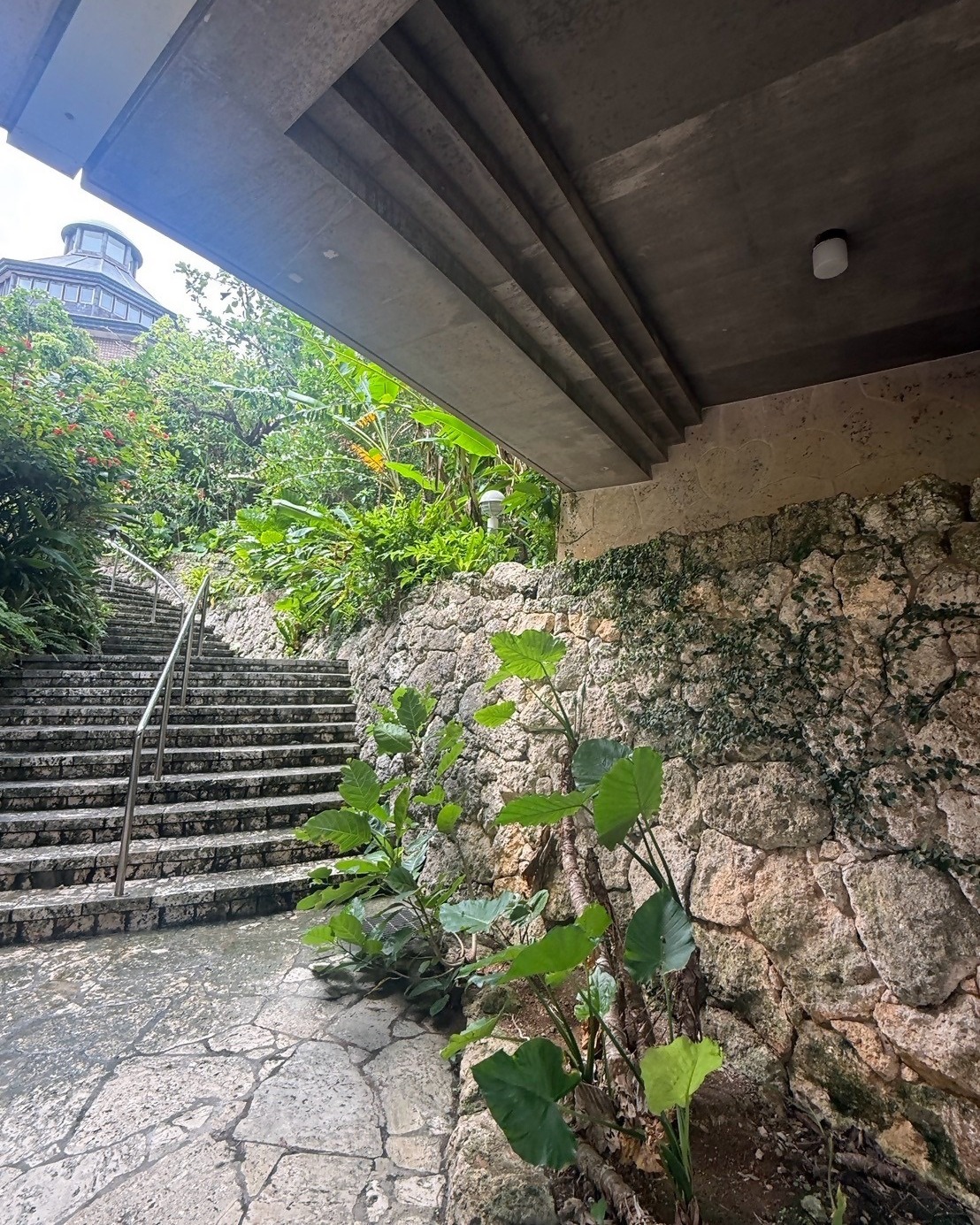 浦添 市 美術館