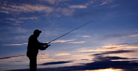 amazon plastic tackle box Best Sellers: Best Fishing Boxes Fishing Single Tray Tackle Color:117H salt fly rod Keeping your bait