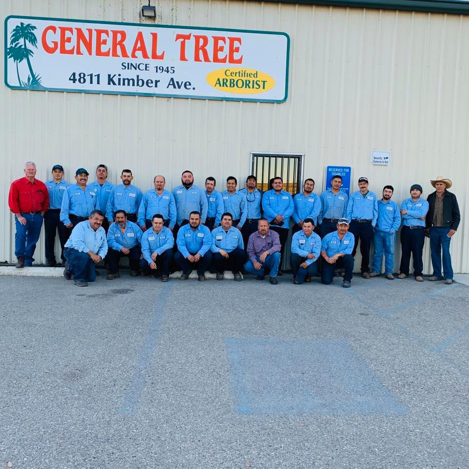 General Tree Service | Bakersfield CA