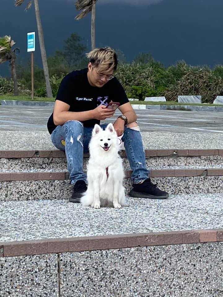 Lulu家三毛生活日記－狐狸犬x米克斯 - 2022 請多多指教 新年快樂 明けましておめでとうござい 今年もよろしくお願いします Happy ...