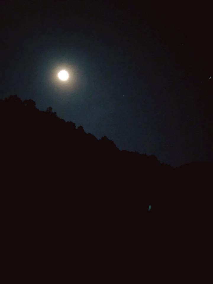池田綾子 屋久島の森の夜 今 夜の森の中にいます とっても明るい夜です 今年も やくしま森祭り開催します やくしま森祭り2018 2018年10月13日 土 場所 屋久島総合自然公園 出演 塩谷哲 池田綾子 And More Http Morimatsuri Com Facebook