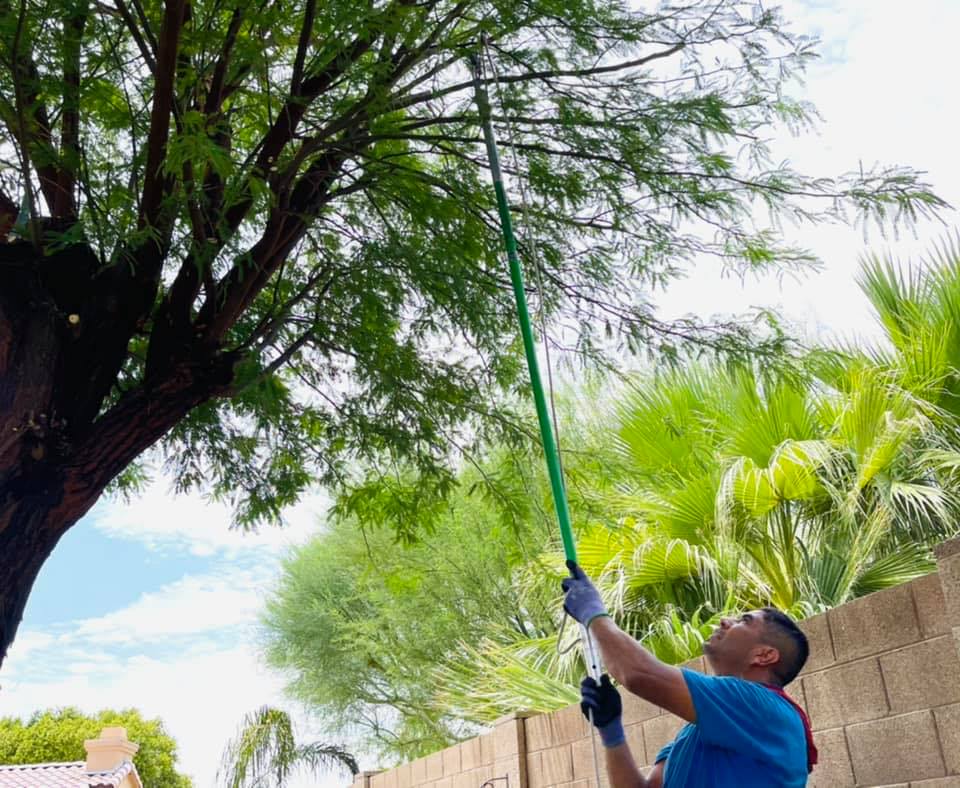 State48 Tree Service & More