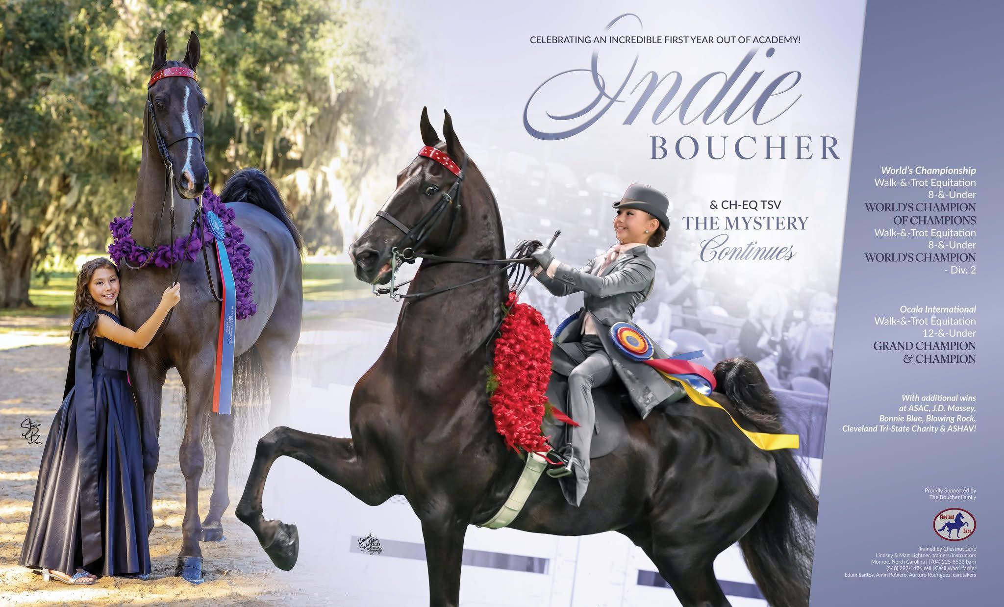 Chestnut - A season to remember — Indie Boucher and CH-EQ TSV The ...