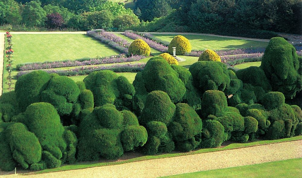 The... - The Mirror of Paradise Landscape Architecture