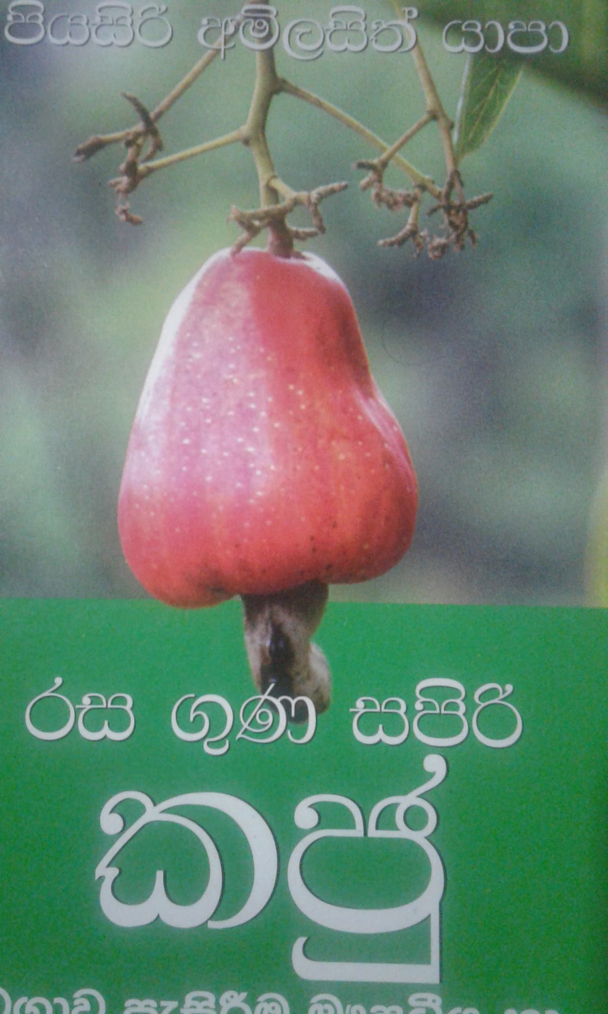 Nugegoda Cake world | Nugegoda