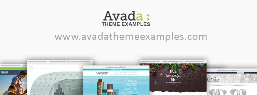 Avada Theme Examples