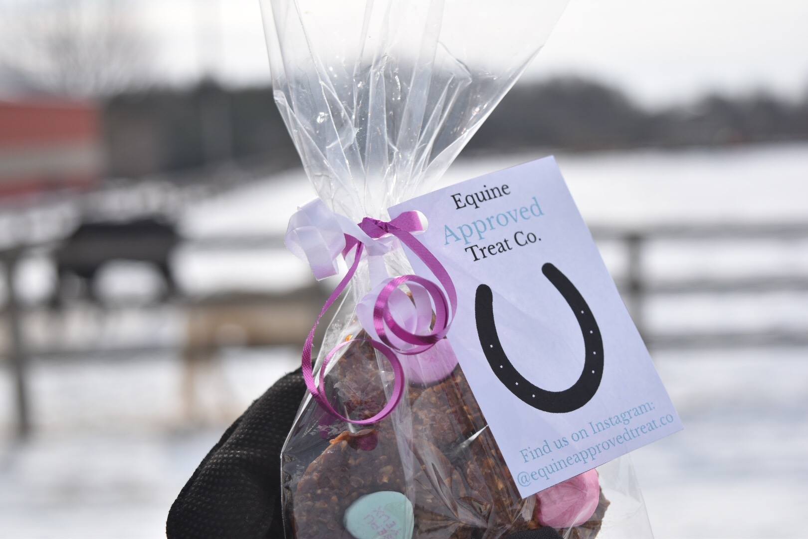 We are pleased to announce... - Equine Approved Treat Co.