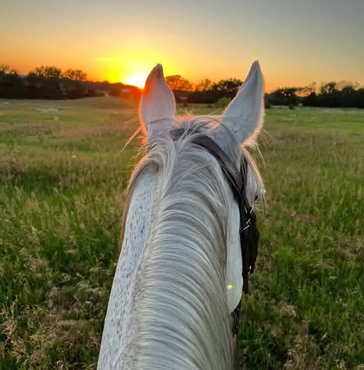 Tag us in your... - Kansas Hunter Jumper Associations - KHJA | Facebook
