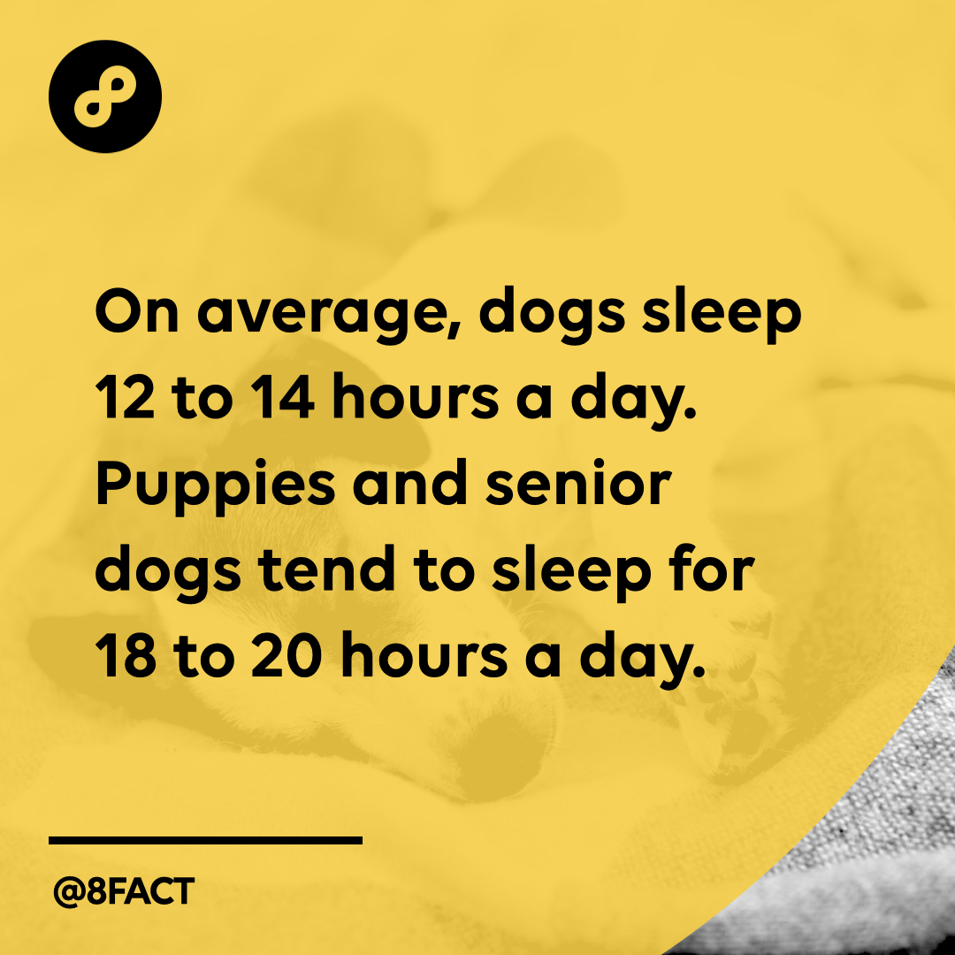 Hours spent sleeping in a lifetime