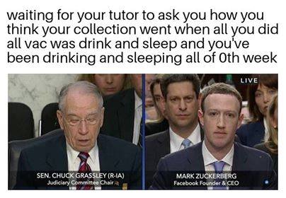 BNC memes for rissole-loving teens