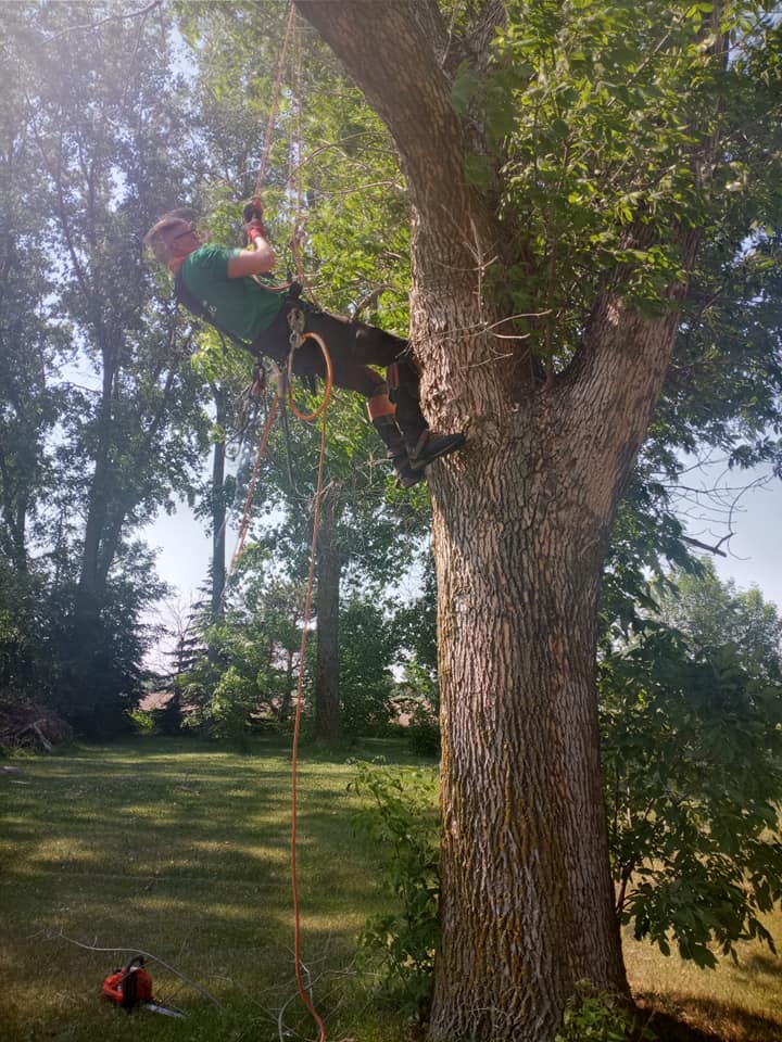 Ground Up Tree Services Llc Home Facebook